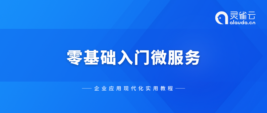 企业应用现代化实用教程 | 微服务架构怎么选？Dubbo、Spring Cloud、Istio终极对决