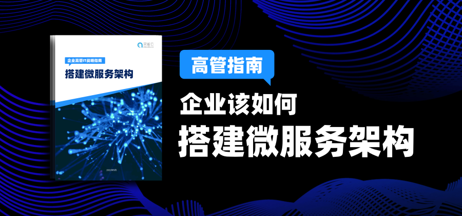 ebook下载 | 《企业高管IT战略指南——搭建微服务架构》